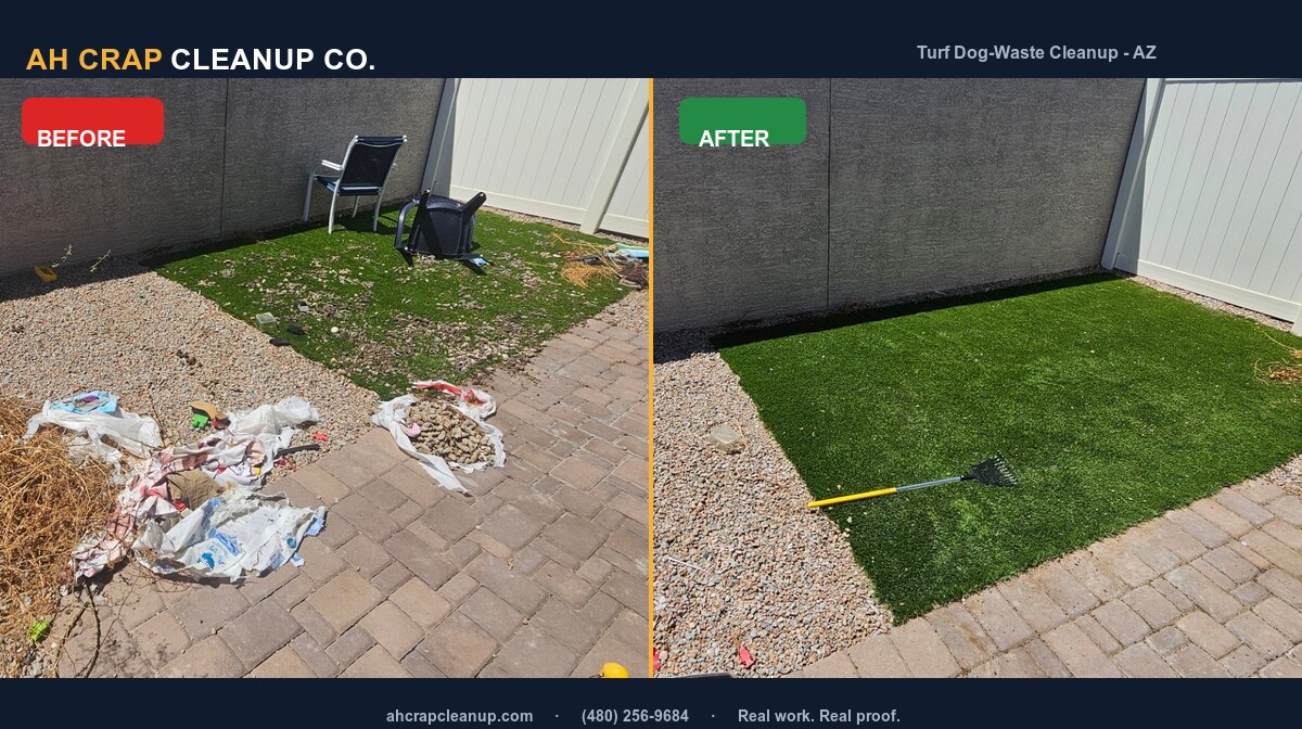Before and after dog-waste cleanup on artificial turf in a Chandler backyard