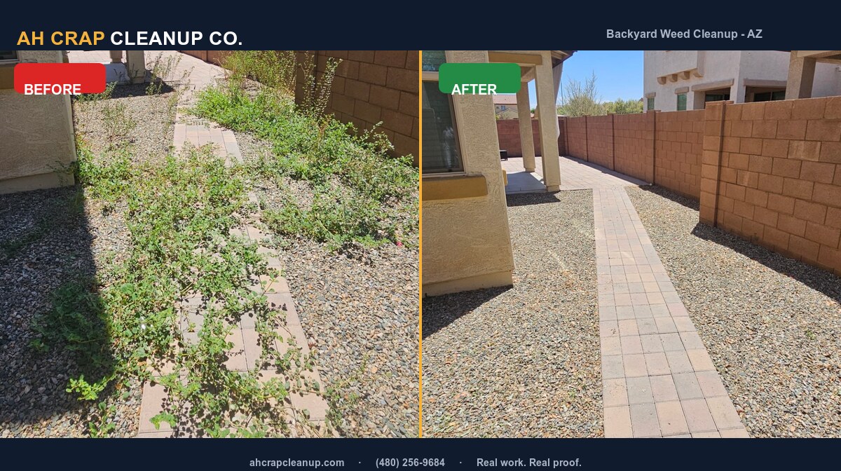Before and after backyard weed cleanup in Chandler, Arizona